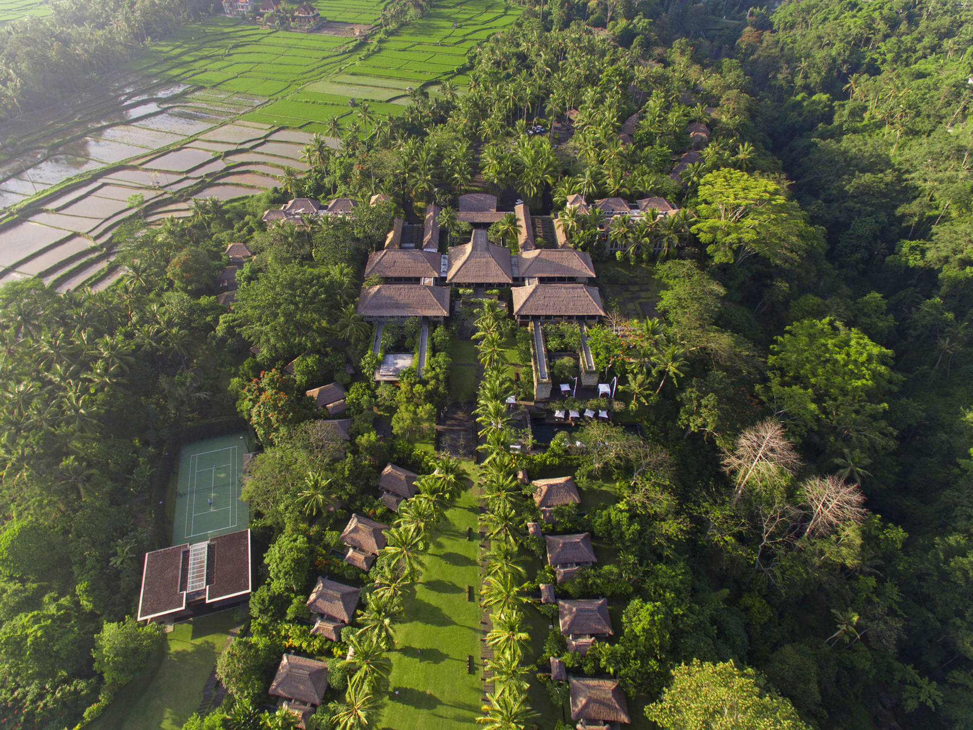 maya_ubud_05