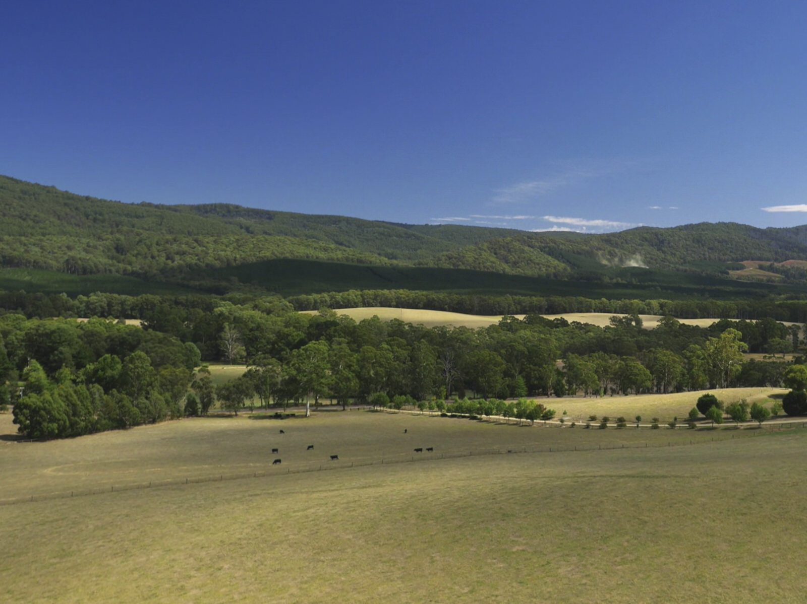 Staplecross Farm
